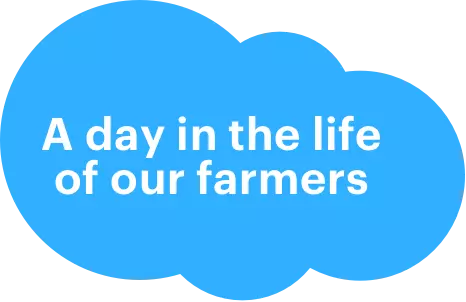 A day in the life of our farmers.