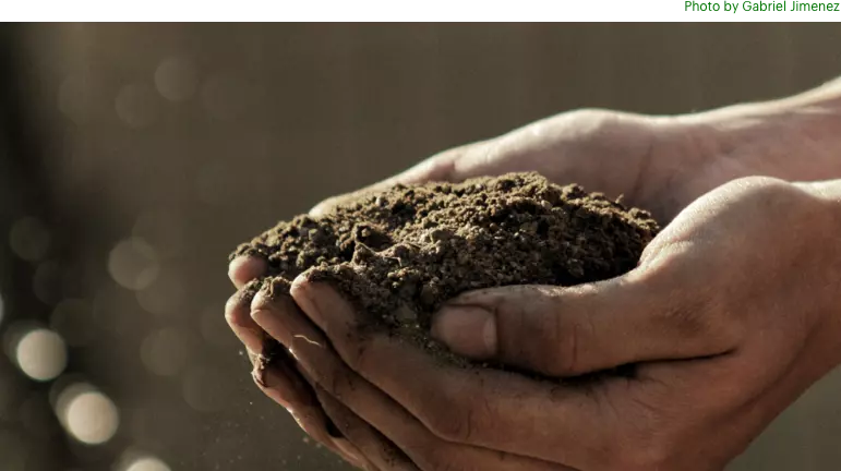 A man is holding a pile of dirt in his hands.