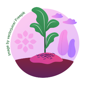 A plant in a circle with a pink background.