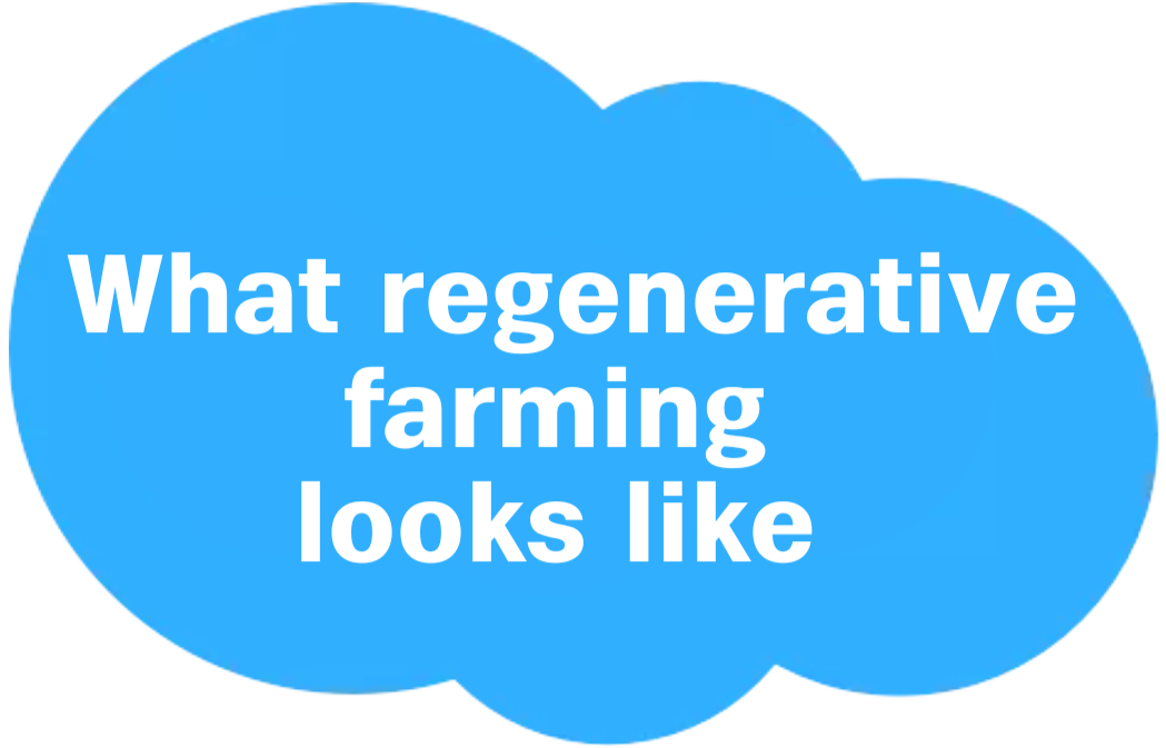 Blue cloud shape with the text "What regenerative farming looks like" in white capital letters, bringing a touch of Seattle’s eco-friendly vibe to see it clearly.